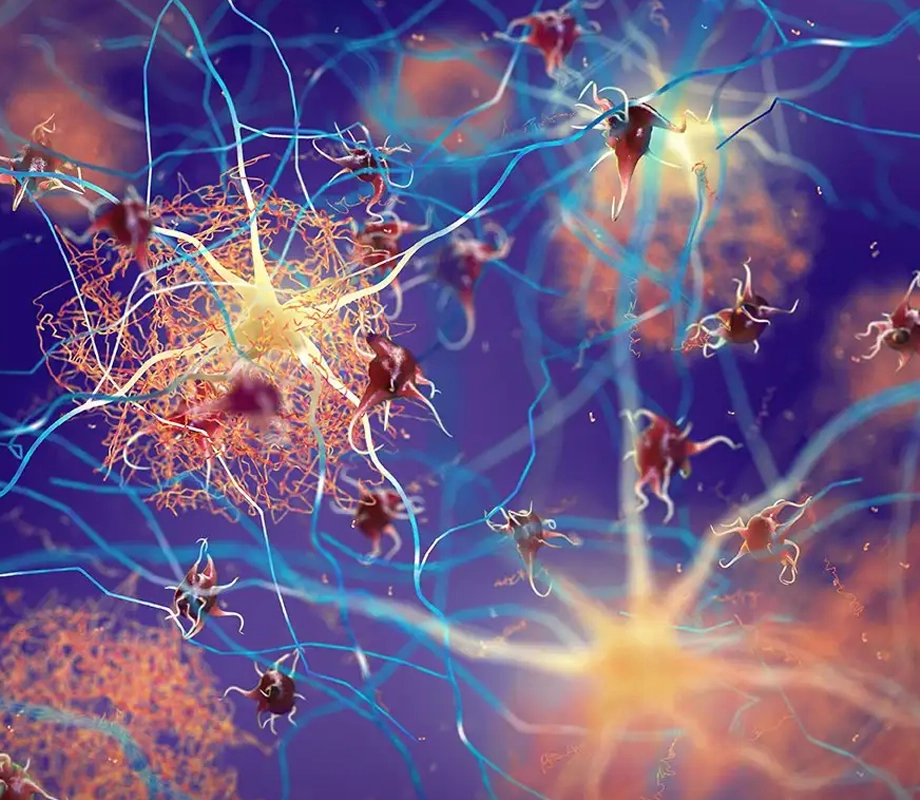 NerveFlow Ingredient Microglia Regulators