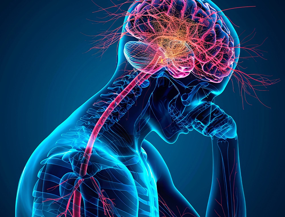 NerveFlow benefit Support for the nervous system