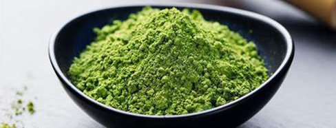 Green Tea Extract